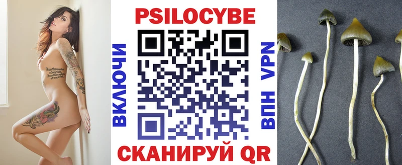 Галлюциногенные грибы ЛСД  цены   Куровское 